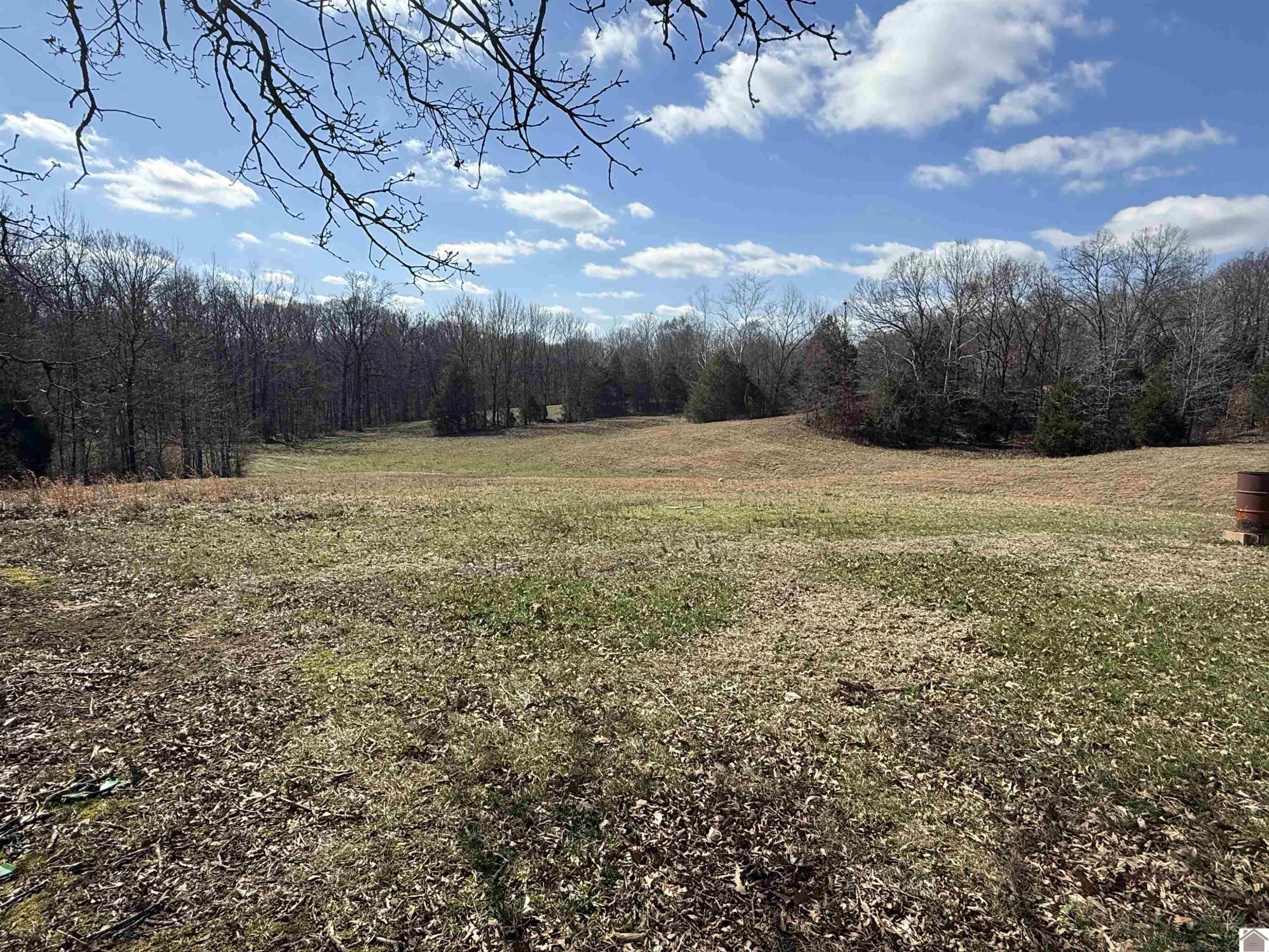 111 Vincent Road, Unit 111 ALICE RD Fulton, KY 42041 - Photo 21 of 24 Photo 21