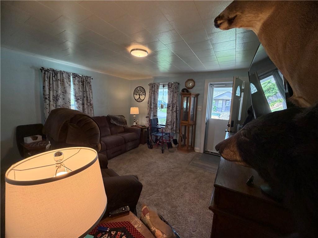 705 7th Street Mather, PA 15346 - Photo 28 of 50