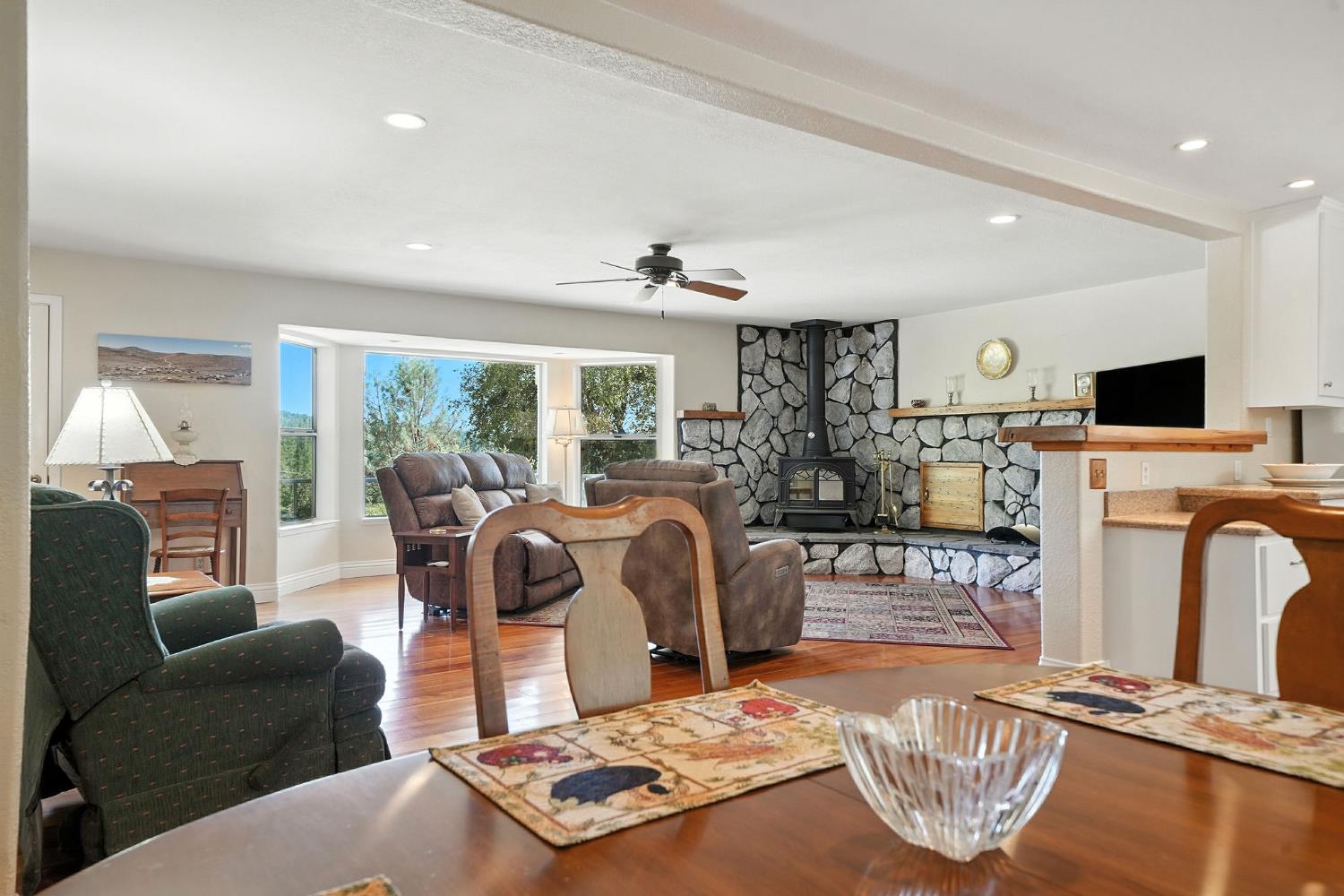 17050 Rams Horn Grade Road Volcano, CA 95689 - Photo 21 of 96 a living room with fireplace furniture and a flat screen tv