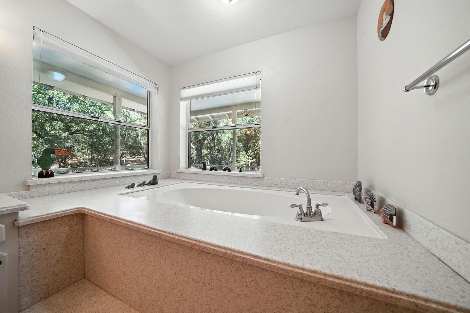 17050 Rams Horn Grade Road Volcano, CA 95689 - Photo 32 of 96