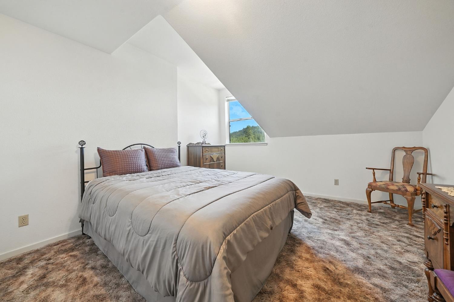 17050 Rams Horn Grade Road Volcano, CA 95689 - Photo 38 of 96