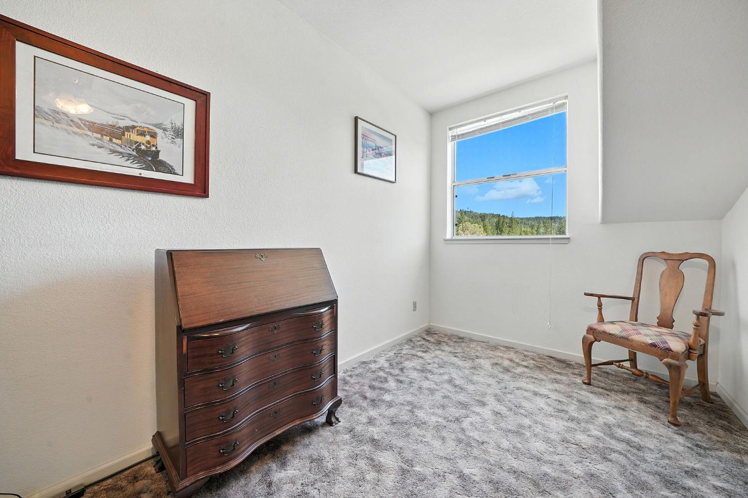 17050 Rams Horn Grade Road Volcano, CA 95689 - Photo 44 of 96