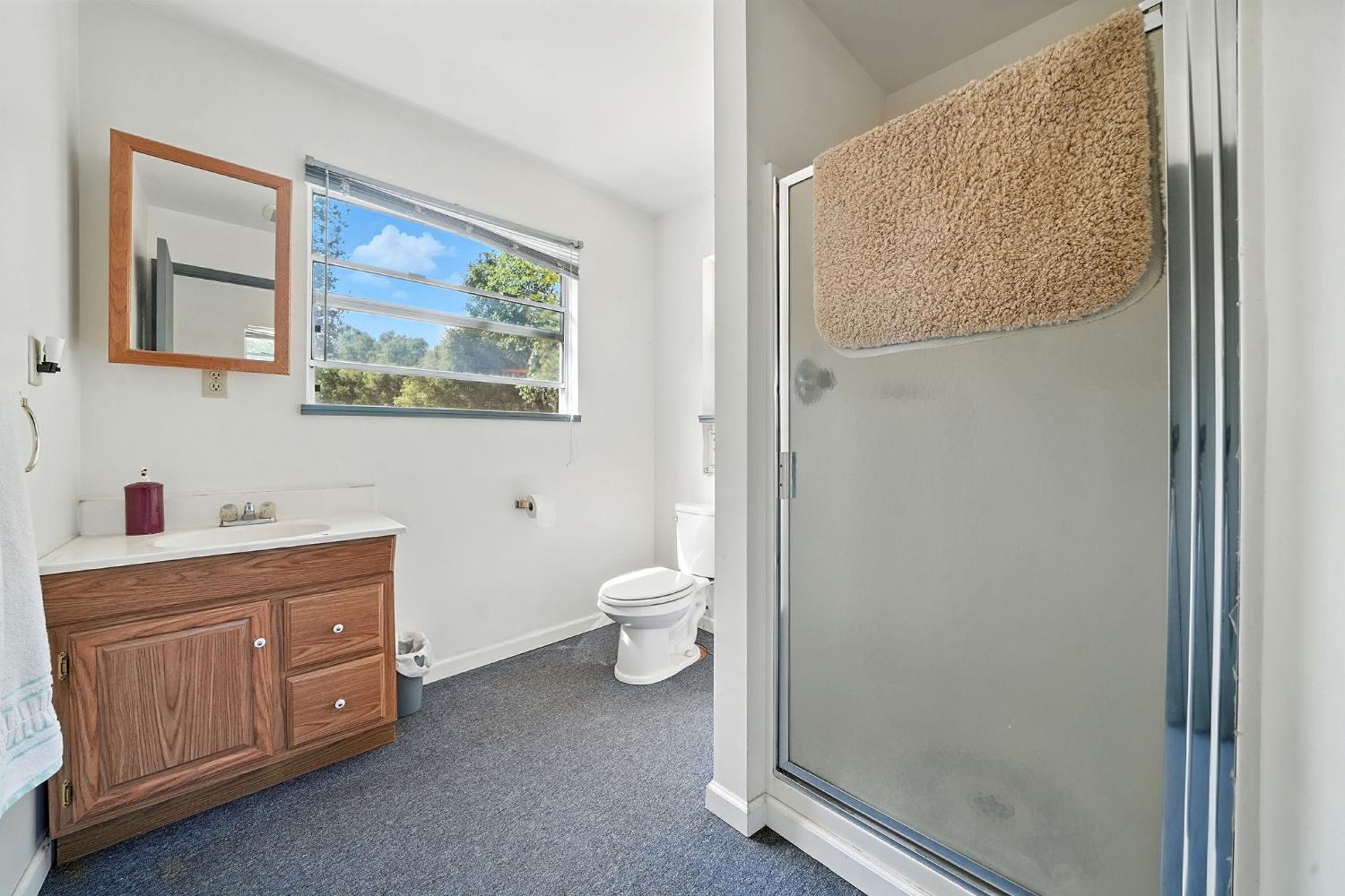 17050 Rams Horn Grade Road Volcano, CA 95689 - Photo 67 of 96