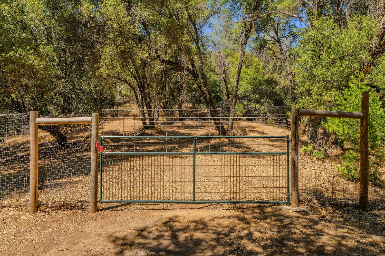 17050 Rams Horn Grade Road Volcano, CA 95689 - Photo 76 of 96