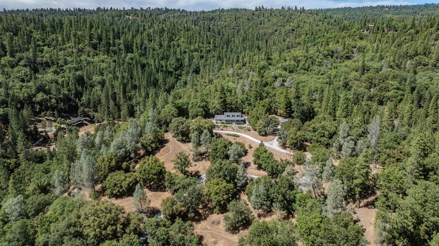 17050 Rams Horn Grade Road Volcano, CA 95689 - Photo 96 of 96 a view of a forest with a street