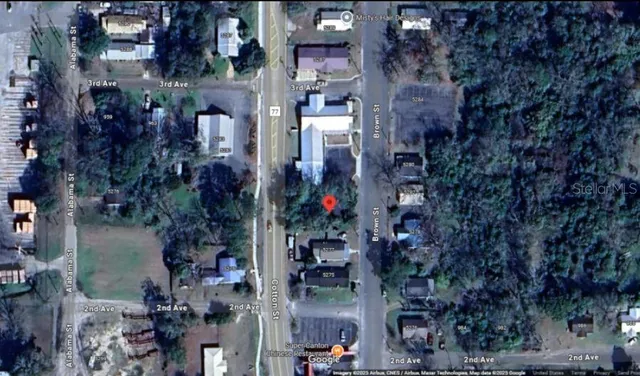 a view of path along with lots of trees