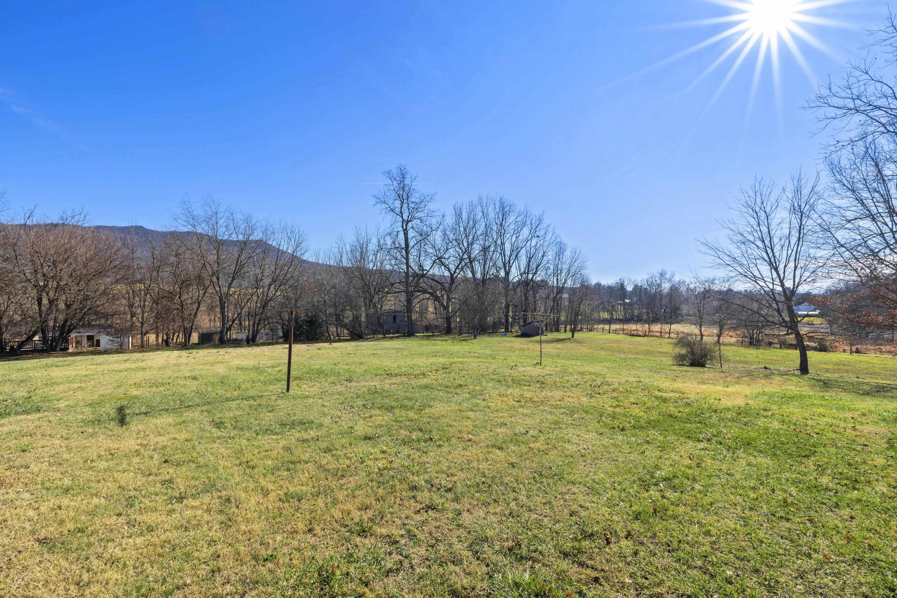 1726 Mountain Valley Road Keezletown, VA 22832 - Photo 49 of 63 a view of a yard
