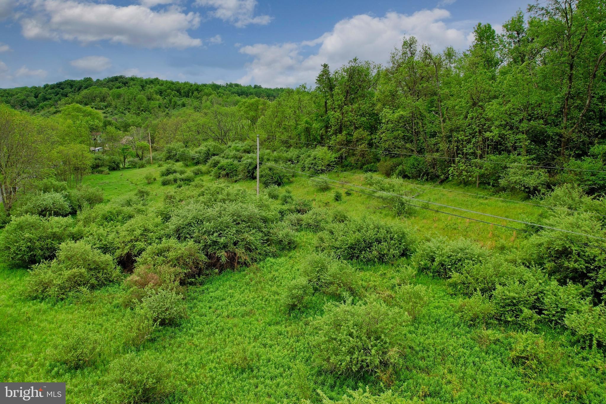 Old Williams Road Southeast Flintstone, MD 21530 - Photo 11 of 17
