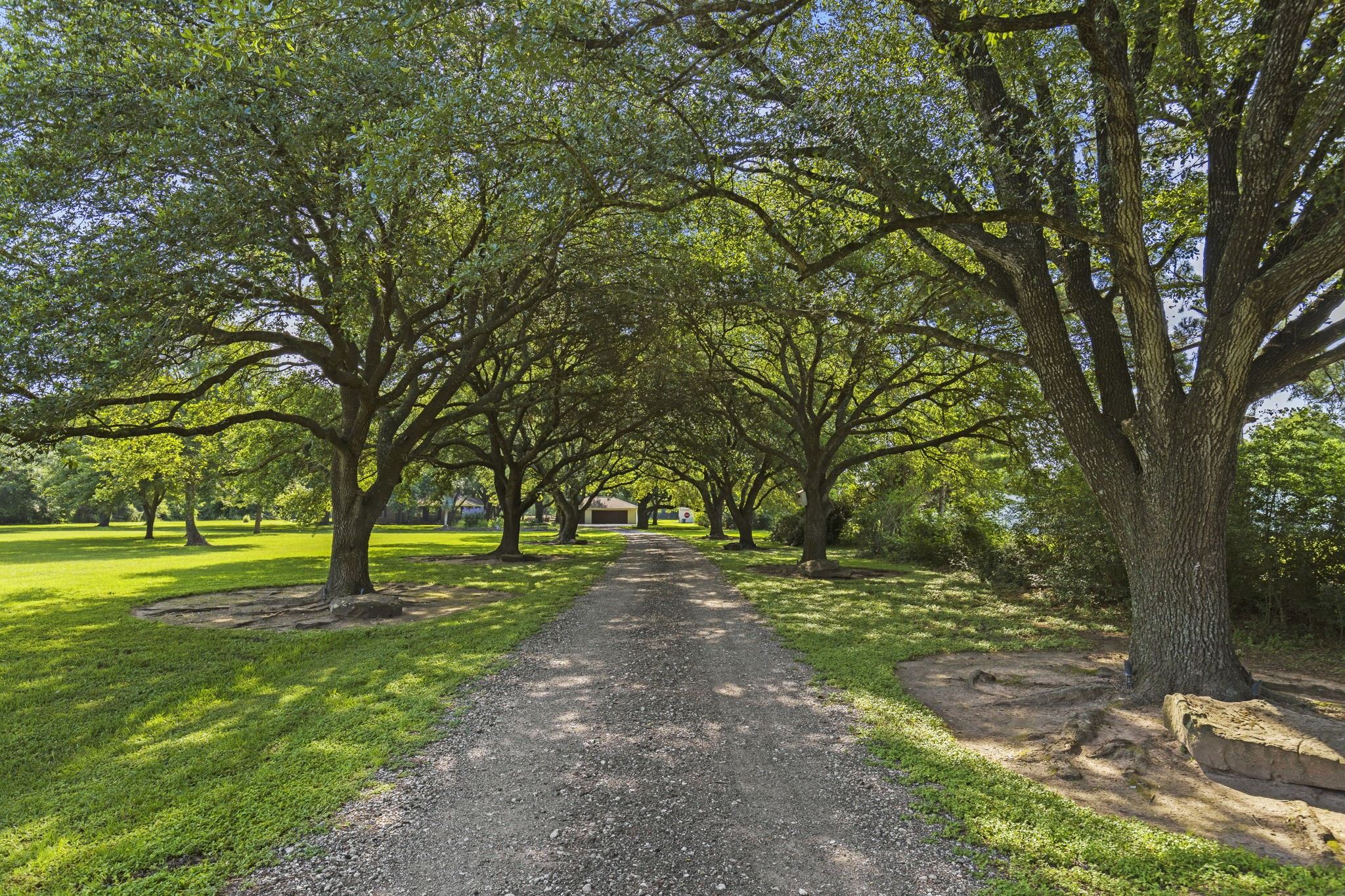 21652 Mueschke Road Tomball, TX 77377 - Photo 2 of 50