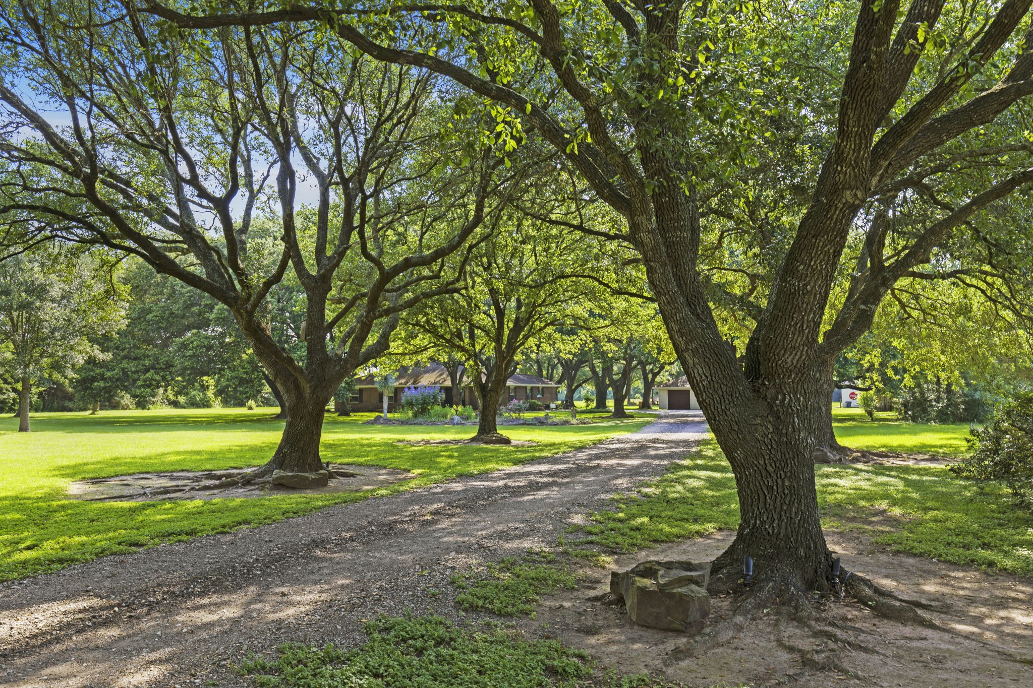 21652 Mueschke Road Tomball, TX 77377 - Photo 3 of 50
