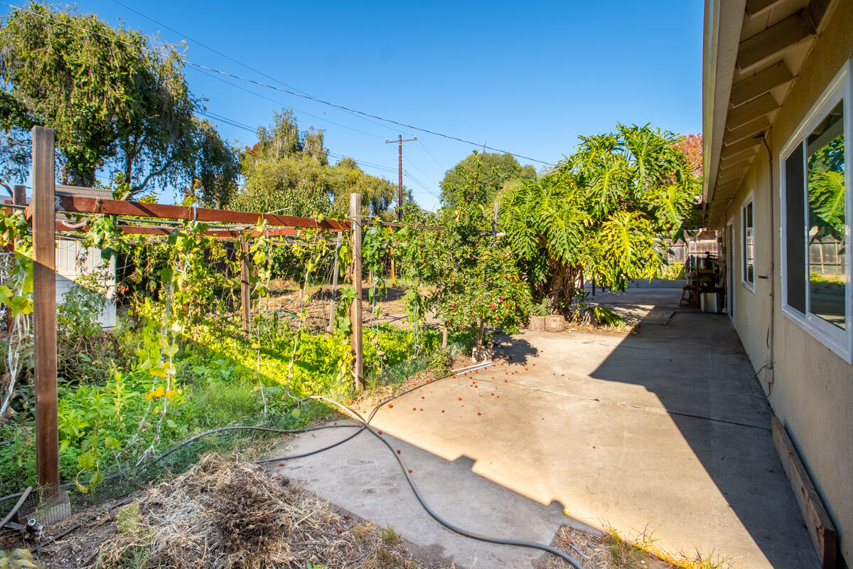 5730 Berkeley Road Goleta, CA 93117 - Photo 26 of 39 Grape Vines - 5730 Berkeley Rd