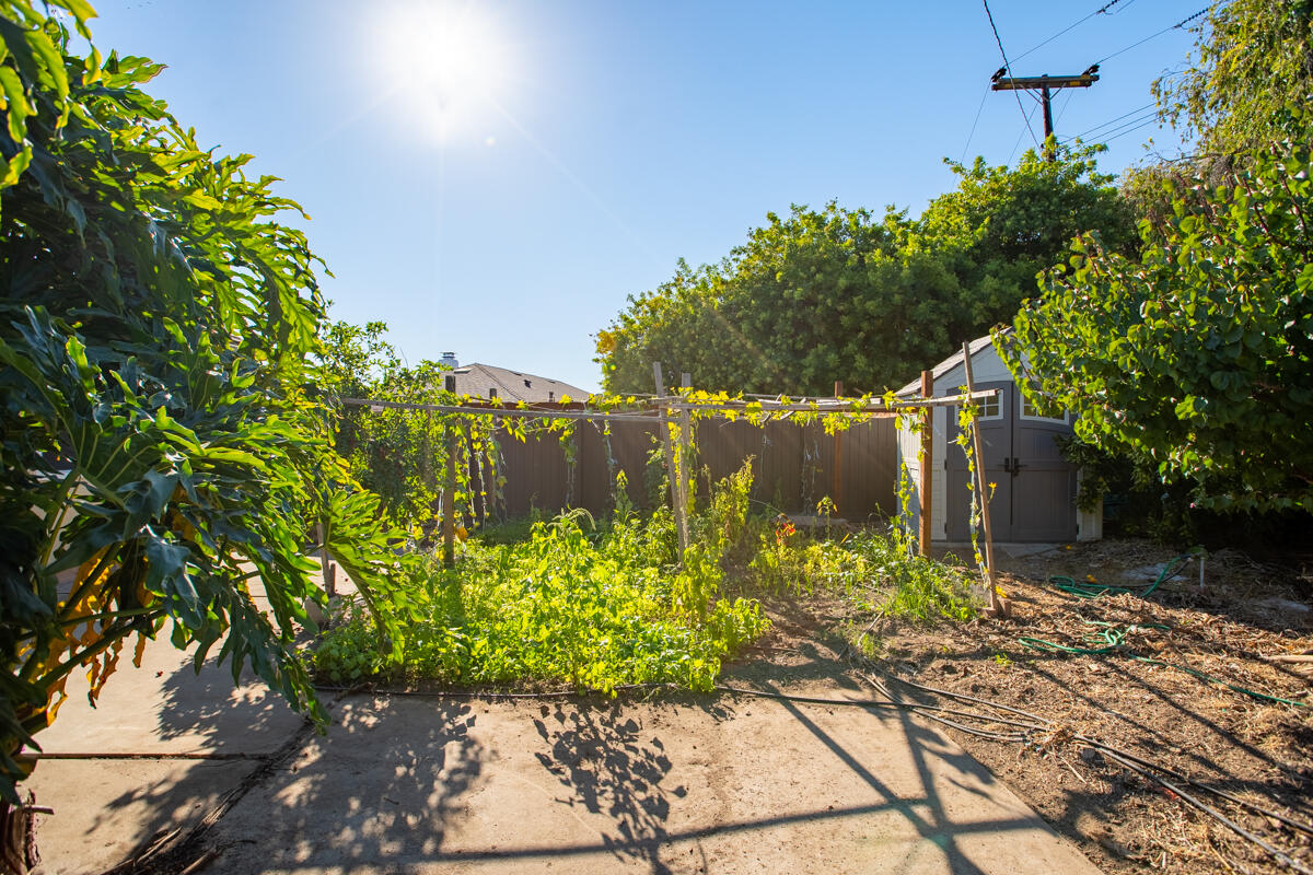 5730 Berkeley Road Goleta, CA 93117 - Photo 27 of 39 Grape Vines - 5730 Berkeley Rd