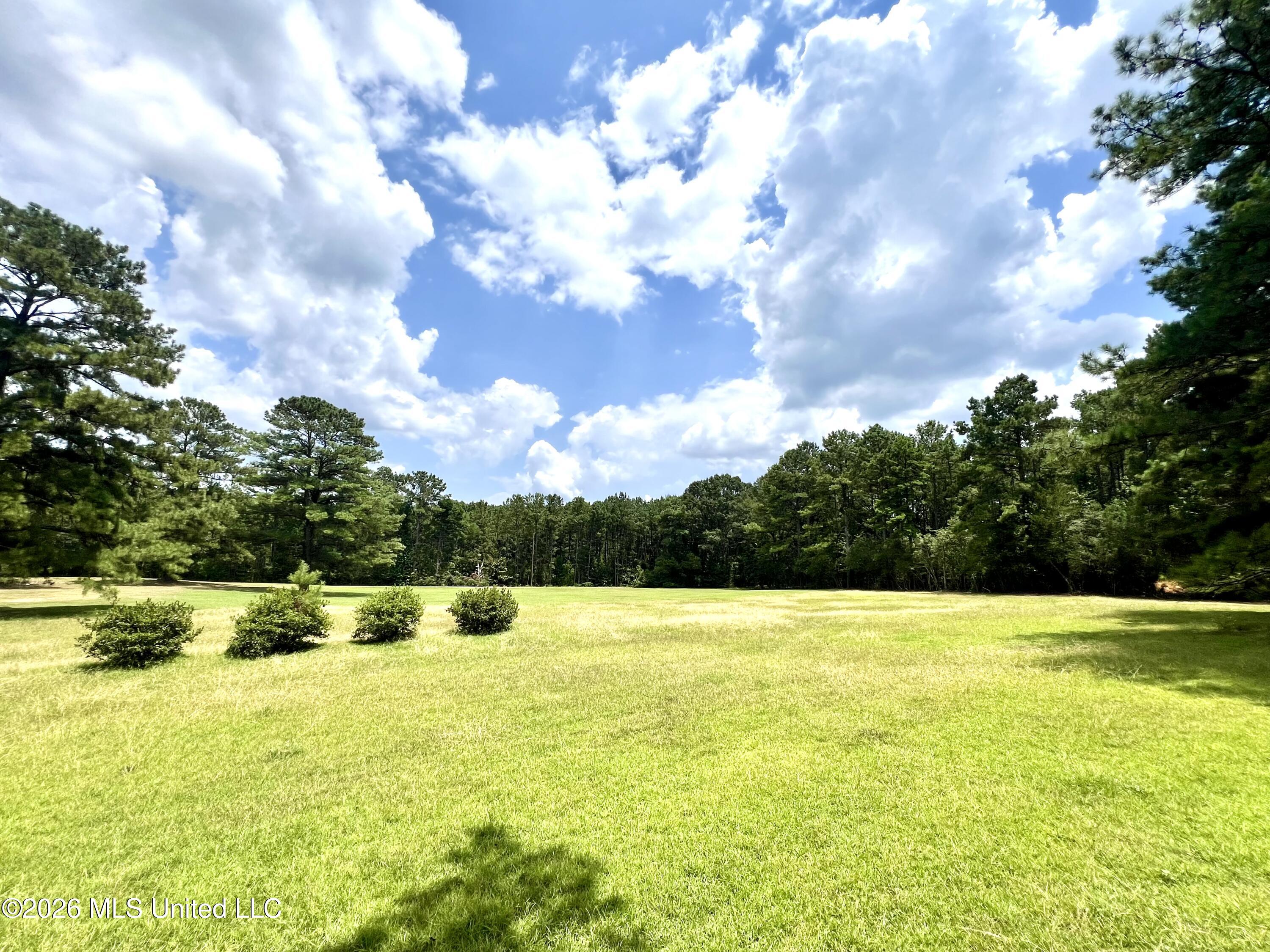 978 Butler Road Smithdale, MS 39664 - Photo 2 of 26 IMG_7236