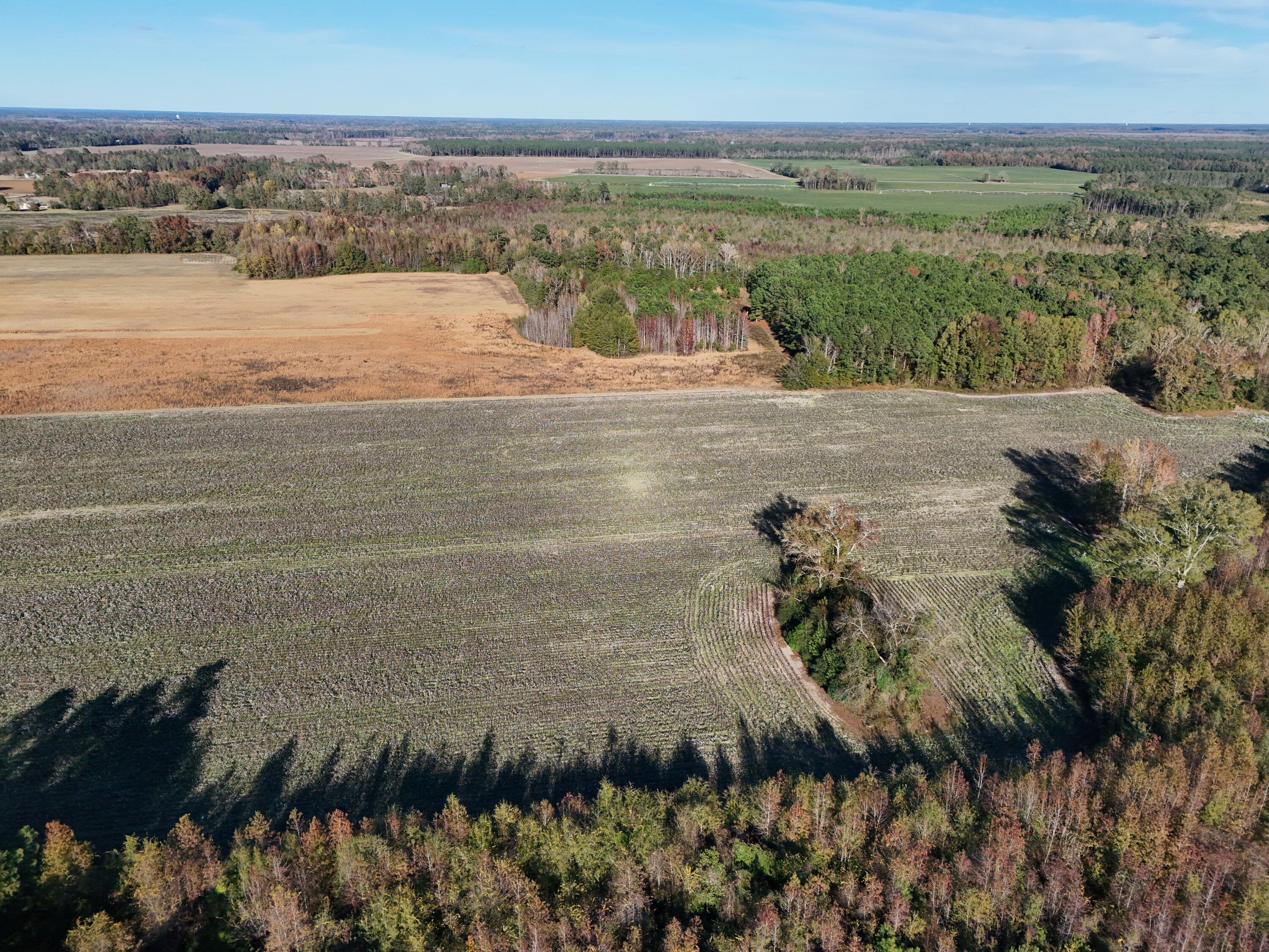 0 Bradley Road Bishopville, SC 29010 - Photo 3 of 4