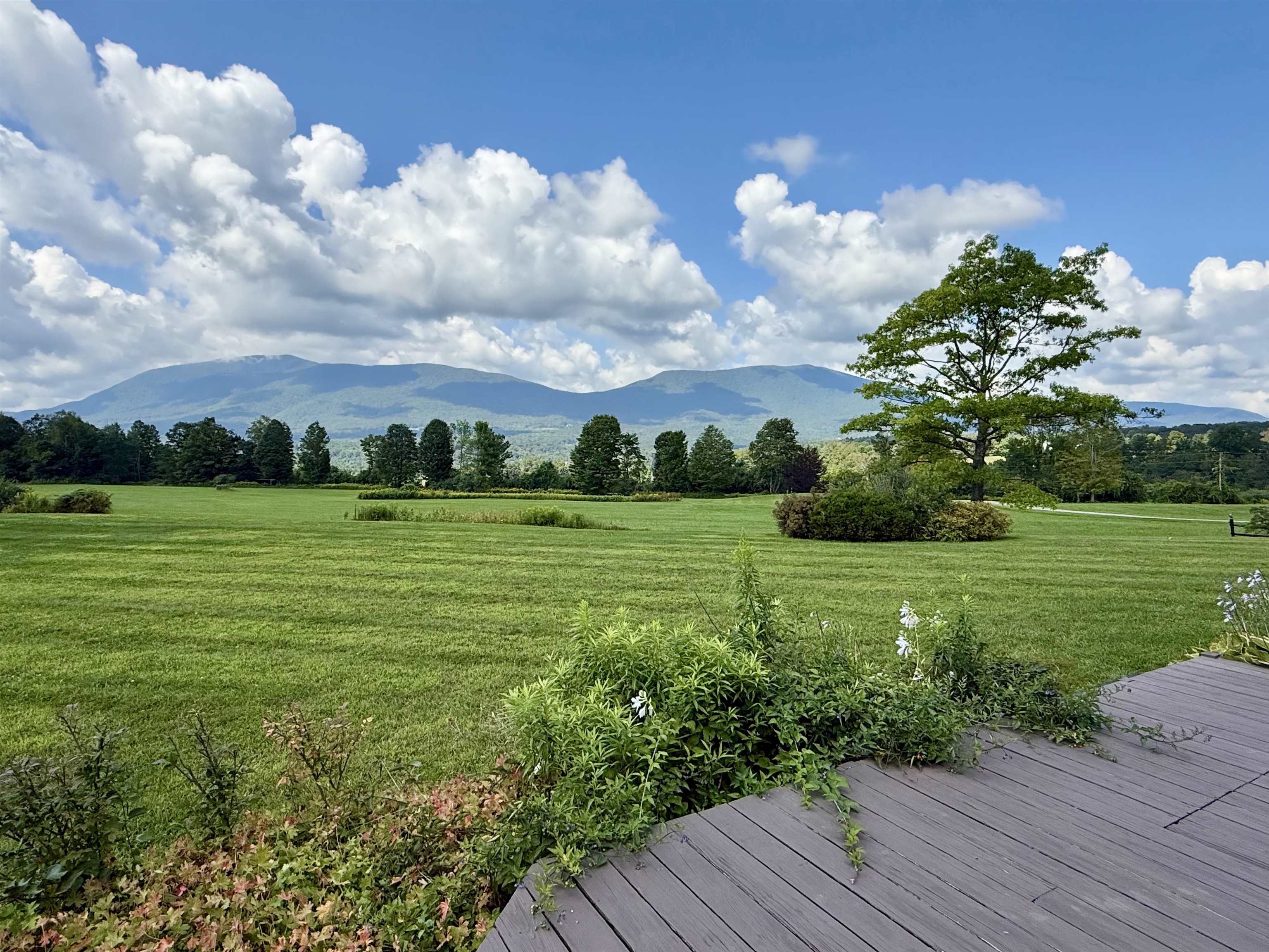 564 Overlook Road Manchester, VT 05255 - Photo 4 of 60