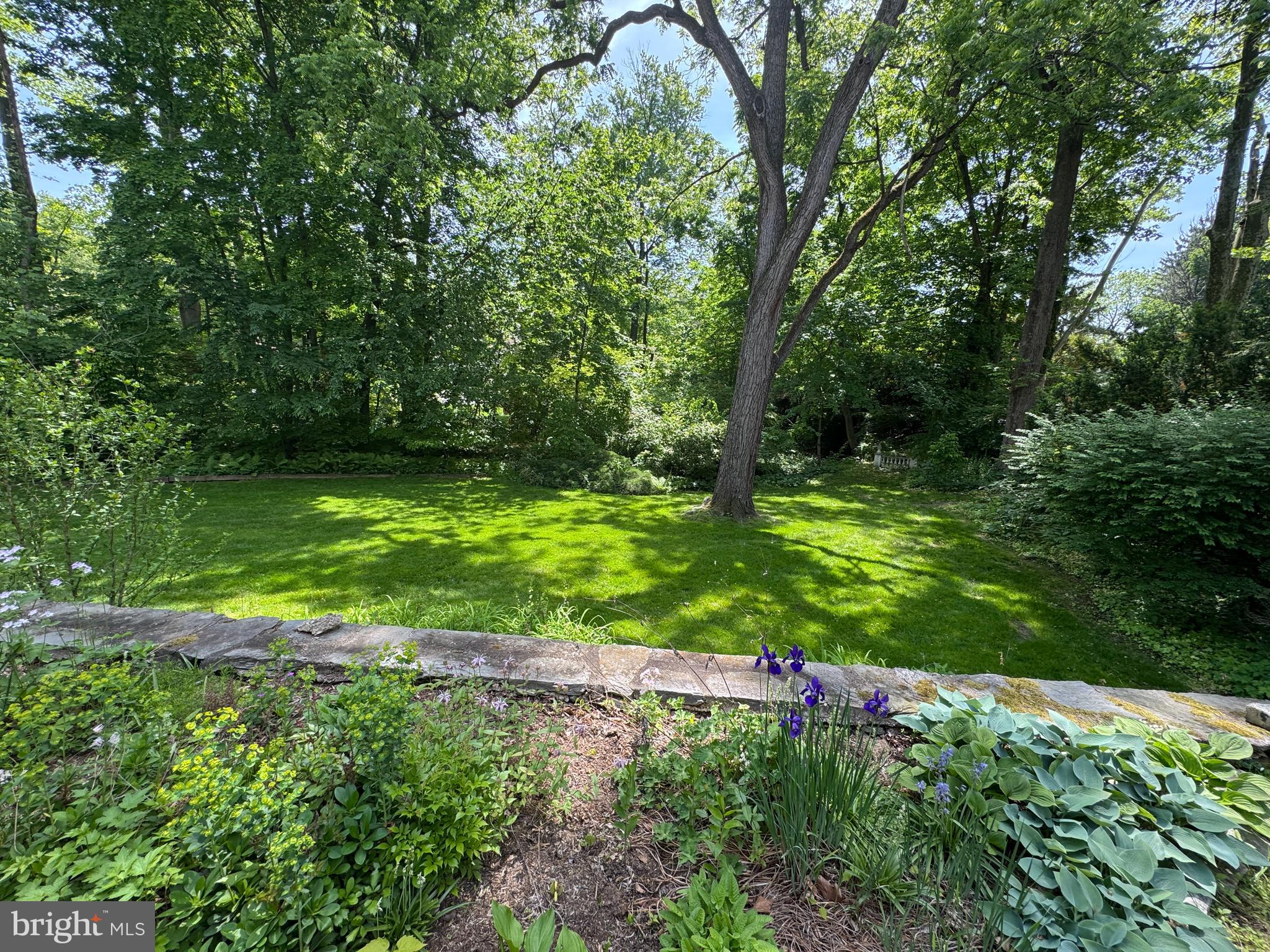 1217 Medford Road Wynnewood, PA 19096 - Photo 84 of 92 Lovely Front Yard View From Front Patio