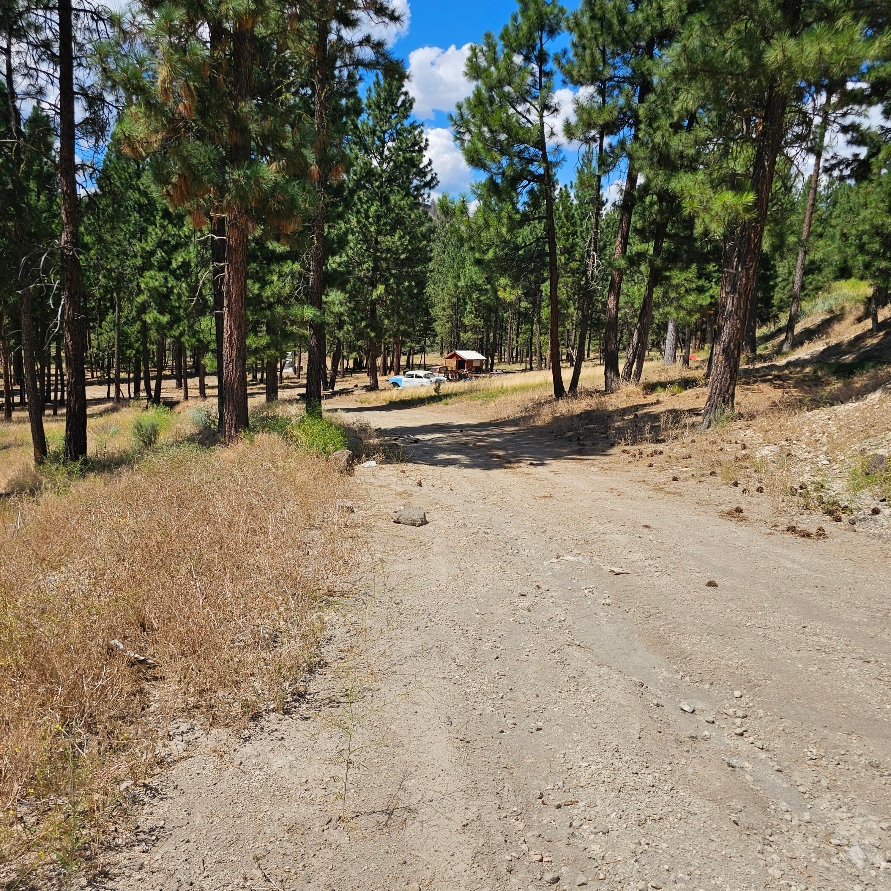 33005 Godowa Springs Road Beatty, OR 97621 - Photo 30 of 36 20250728_142410