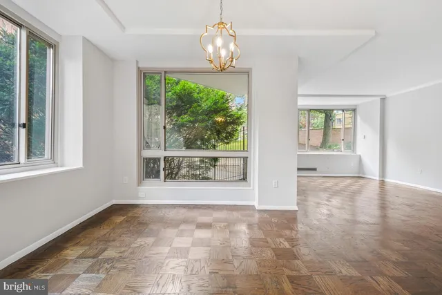 a view of backyard and trees