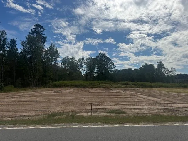 $268,000 | 200 Zion Road, Galivants Ferry, SC 29544