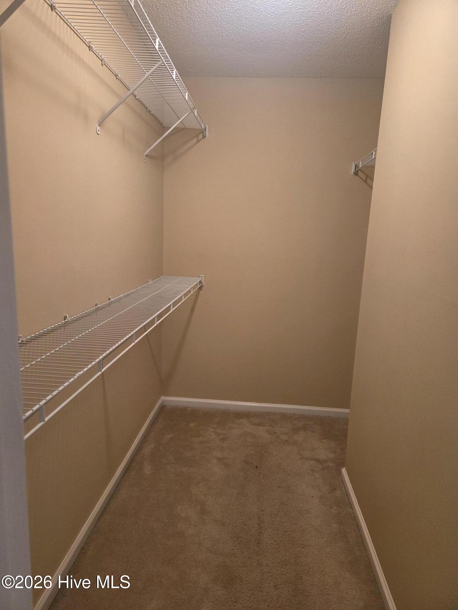 515 Spring Forest Road, Unit E Greenville, NC 27834 - Photo 18 of 27