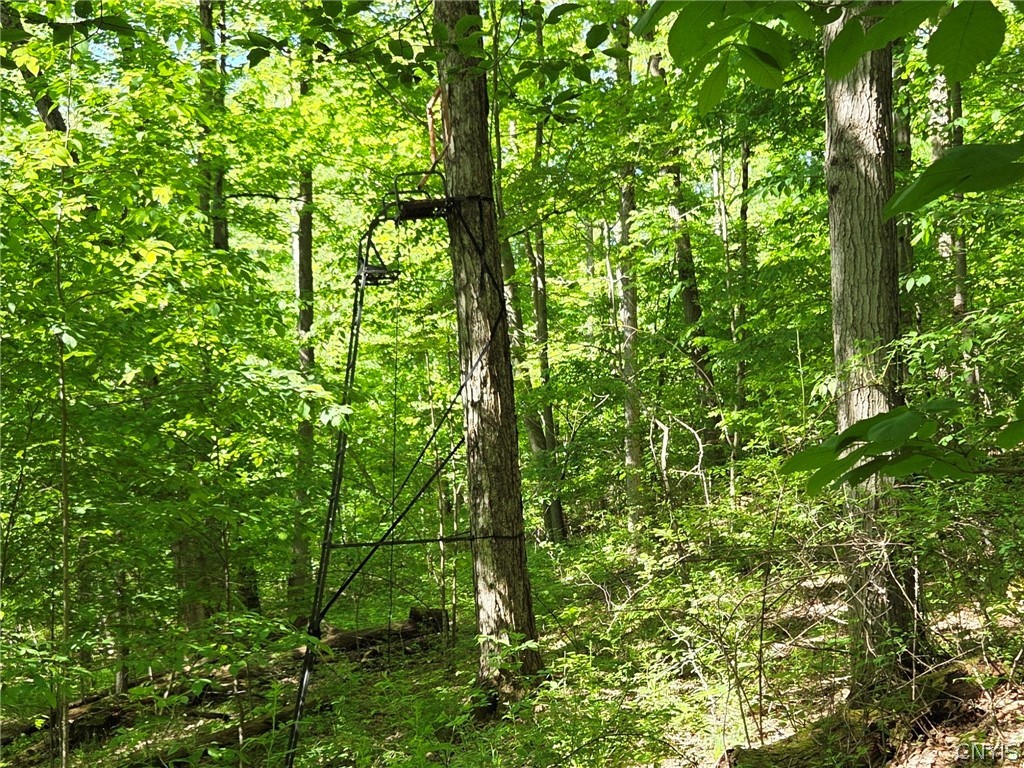 446 Nys Route Cuba, NY 14727 - Photo 31 of 47
