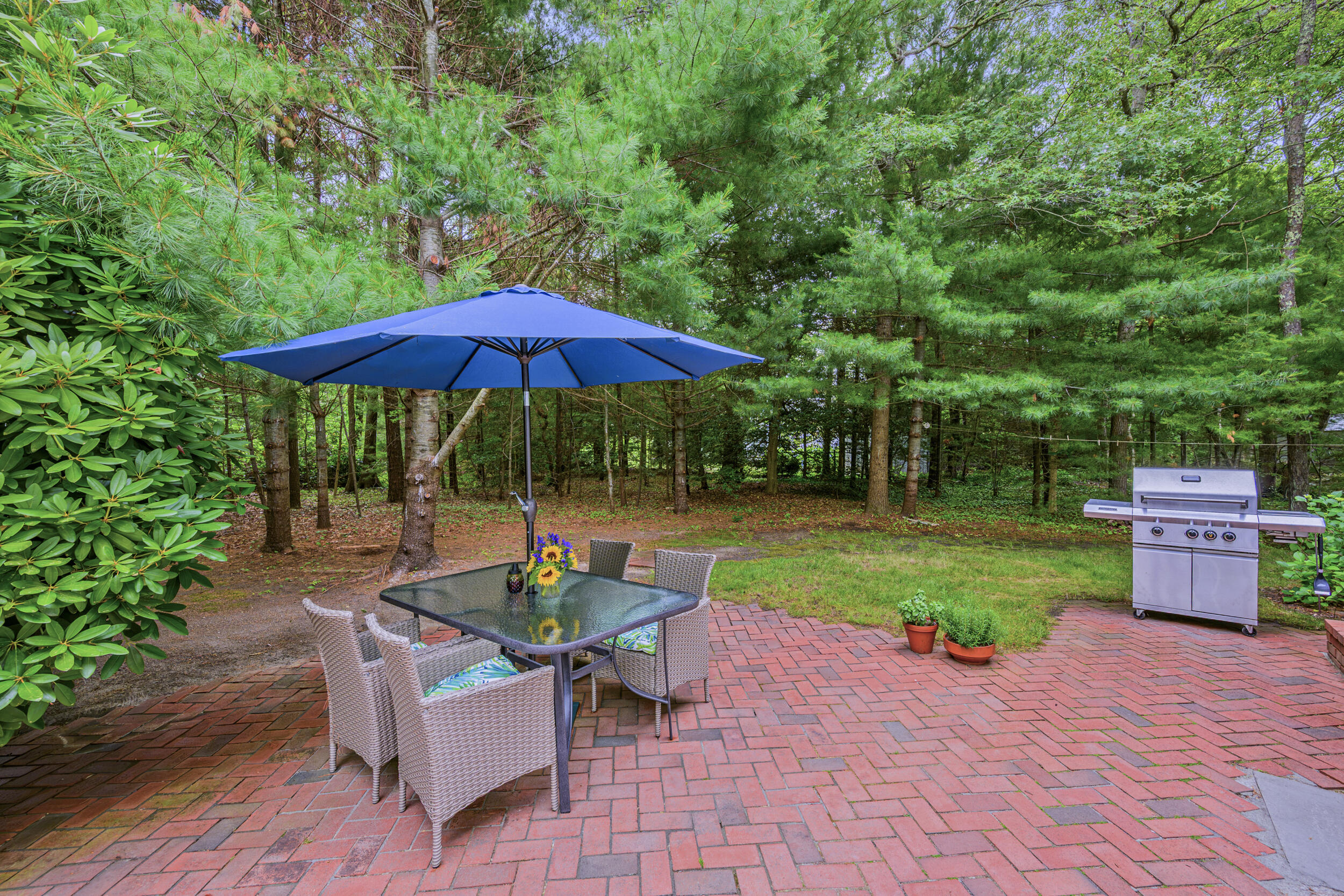 20 Shannon Way Centerville, MA 02632 - Photo 31 of 39 BackPatio