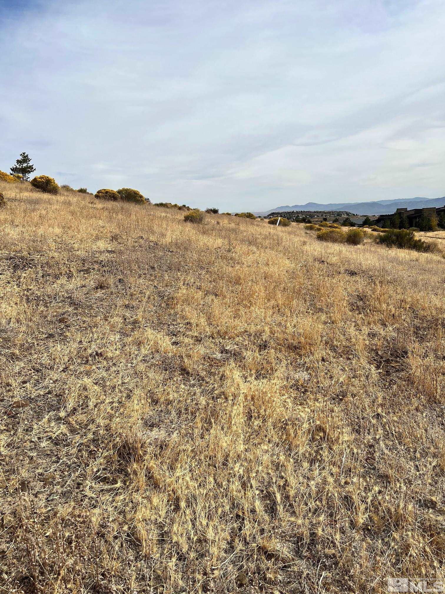 2370 Eagle Bend Trail Reno, NV 89523 - Photo 12 of 15