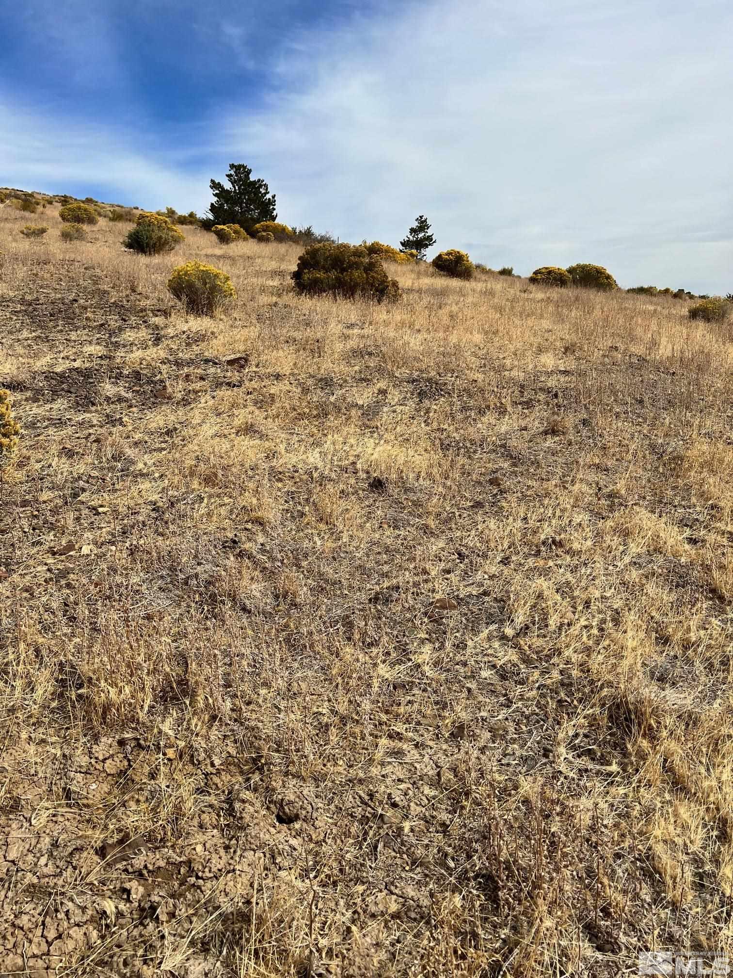 2370 Eagle Bend Trail Reno, NV 89523 - Photo 13 of 15 a view of ocean