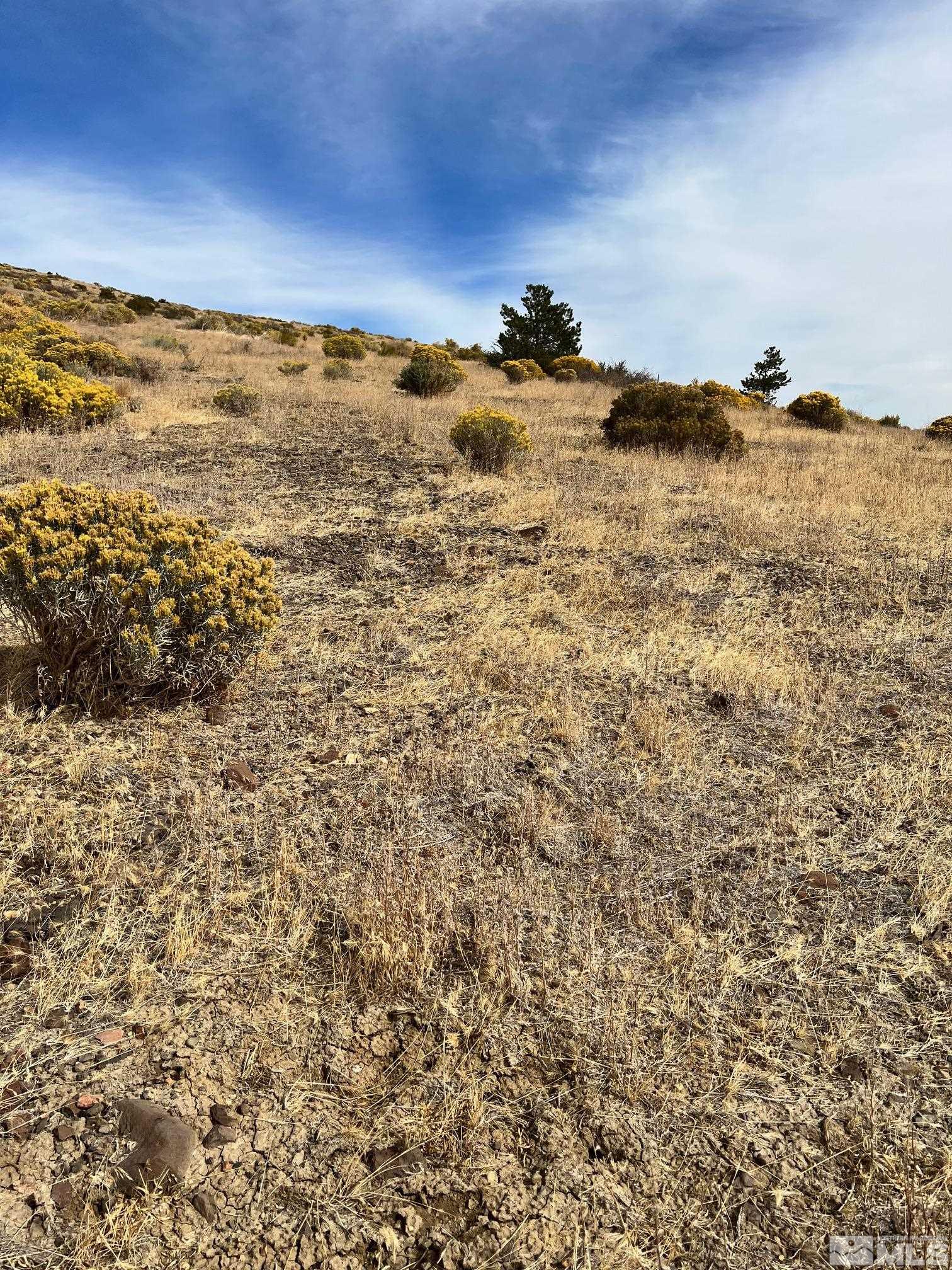 2370 Eagle Bend Trail Reno, NV 89523 - Photo 14 of 15 a view of ocean