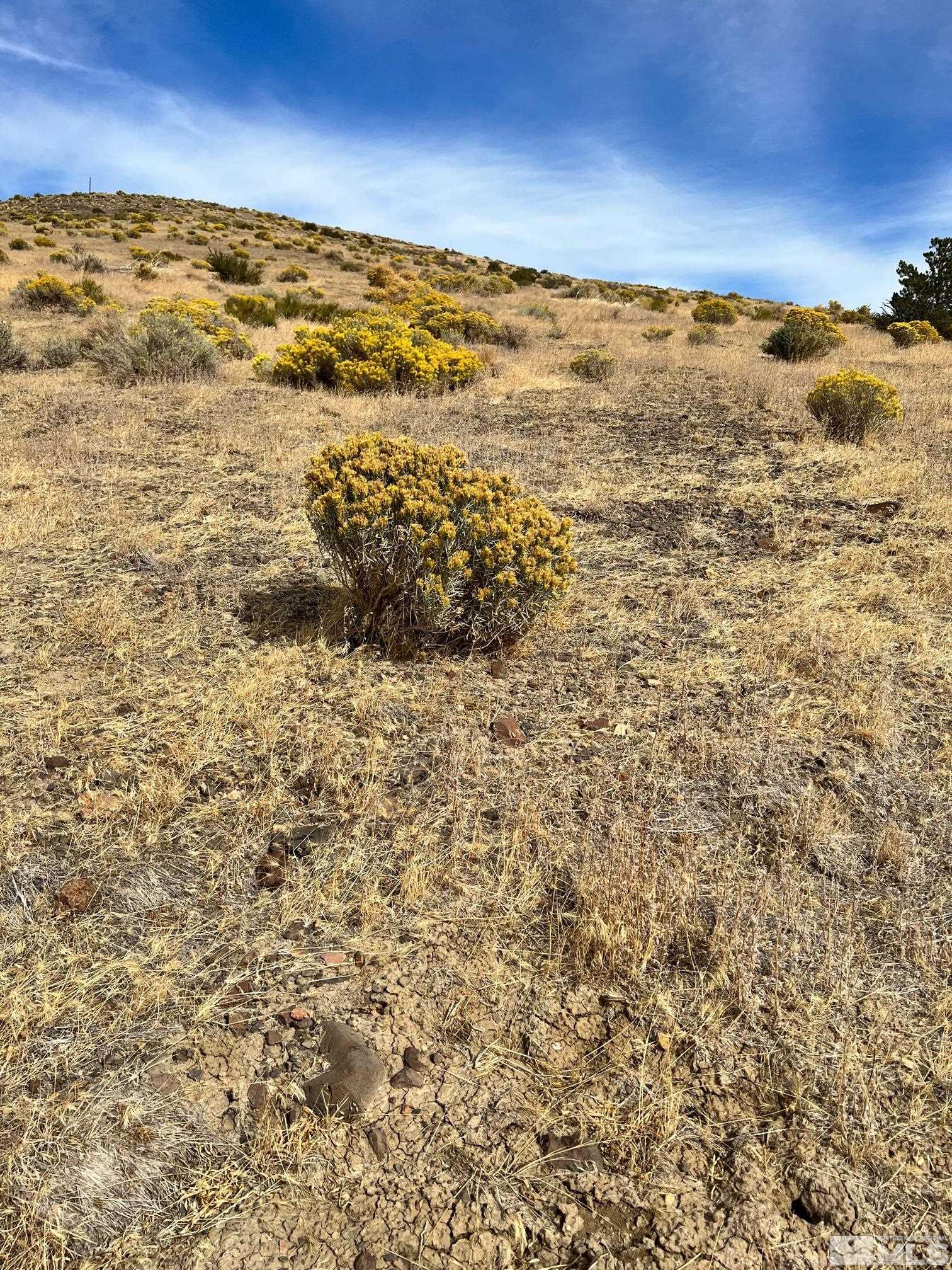2370 Eagle Bend Trail Reno, NV 89523 - Photo 5 of 15 a view of ocean