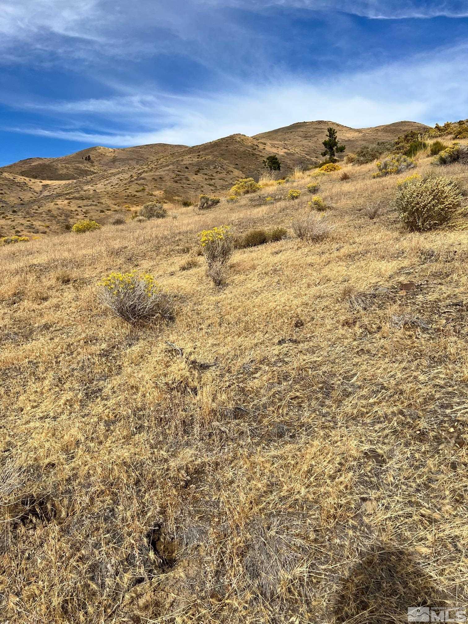 2370 Eagle Bend Trail Reno, NV 89523 - Photo 6 of 15 a view of ocean view