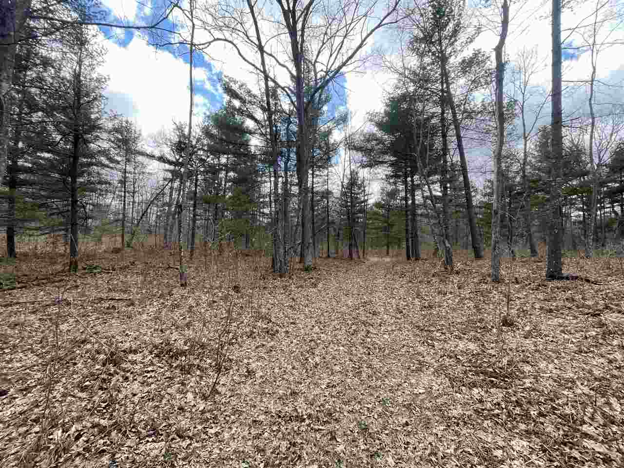20 East A E Decker Rd Branch Branch, MI 49402 - Photo 3 of 31