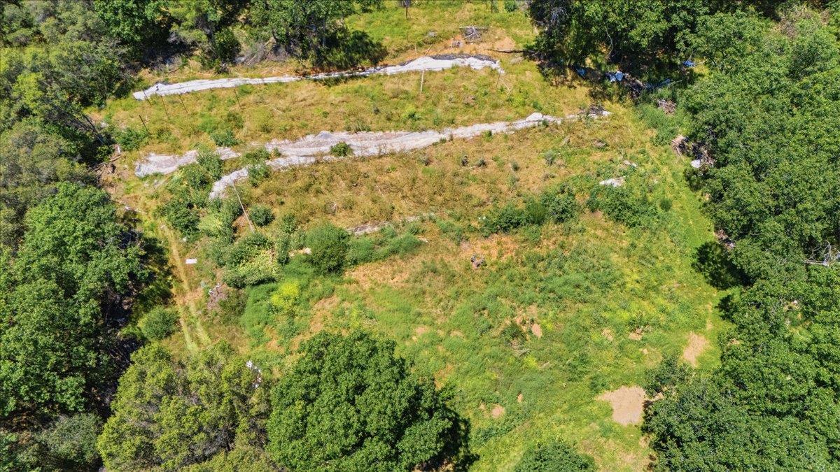 20154 Sky Ridge Place Nevada City, CA 95959 - Photo 4 of 20 a view of a yard with large trees