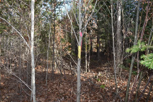 $29,900 | 266 Half Township Road, Lincoln, ME 04457