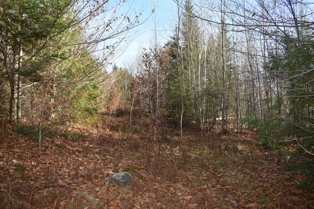$29,900 | 266 Half Township Road, Lincoln, ME 04457