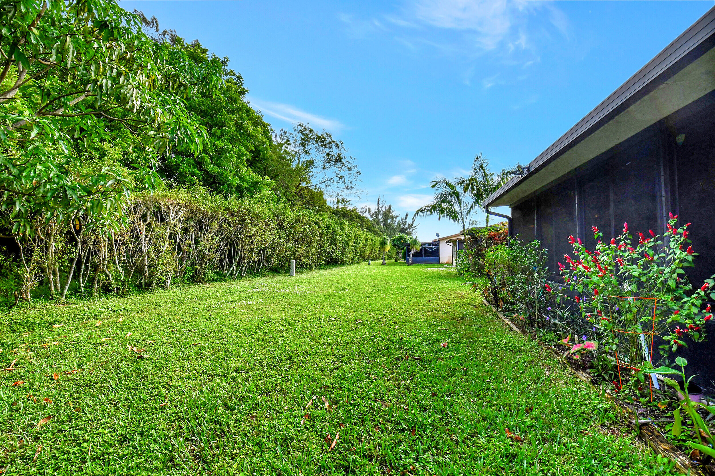 14520 Lucy Drive Delray Beach, FL 33484 - Photo 15 of 63 Backyard