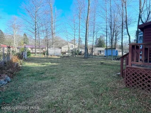 a view of a park with large trees