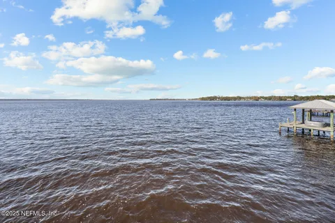 a view of a pathway of a garden
