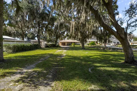 a view of a park with large trees