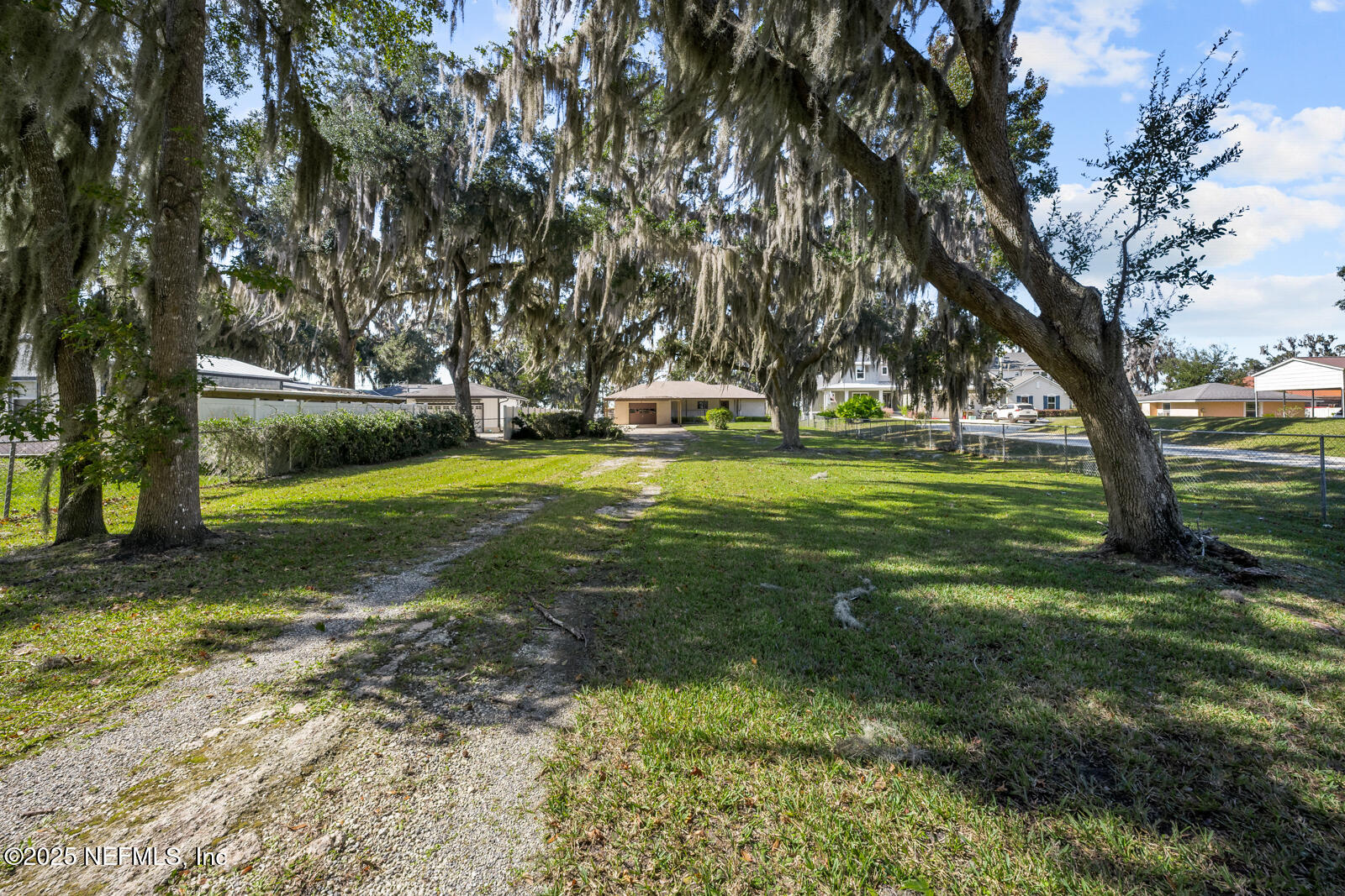 6365 Jack Wright Island Road St. Augustine, FL 32092 - Photo 47 of 53 a view of a trees in a yard
