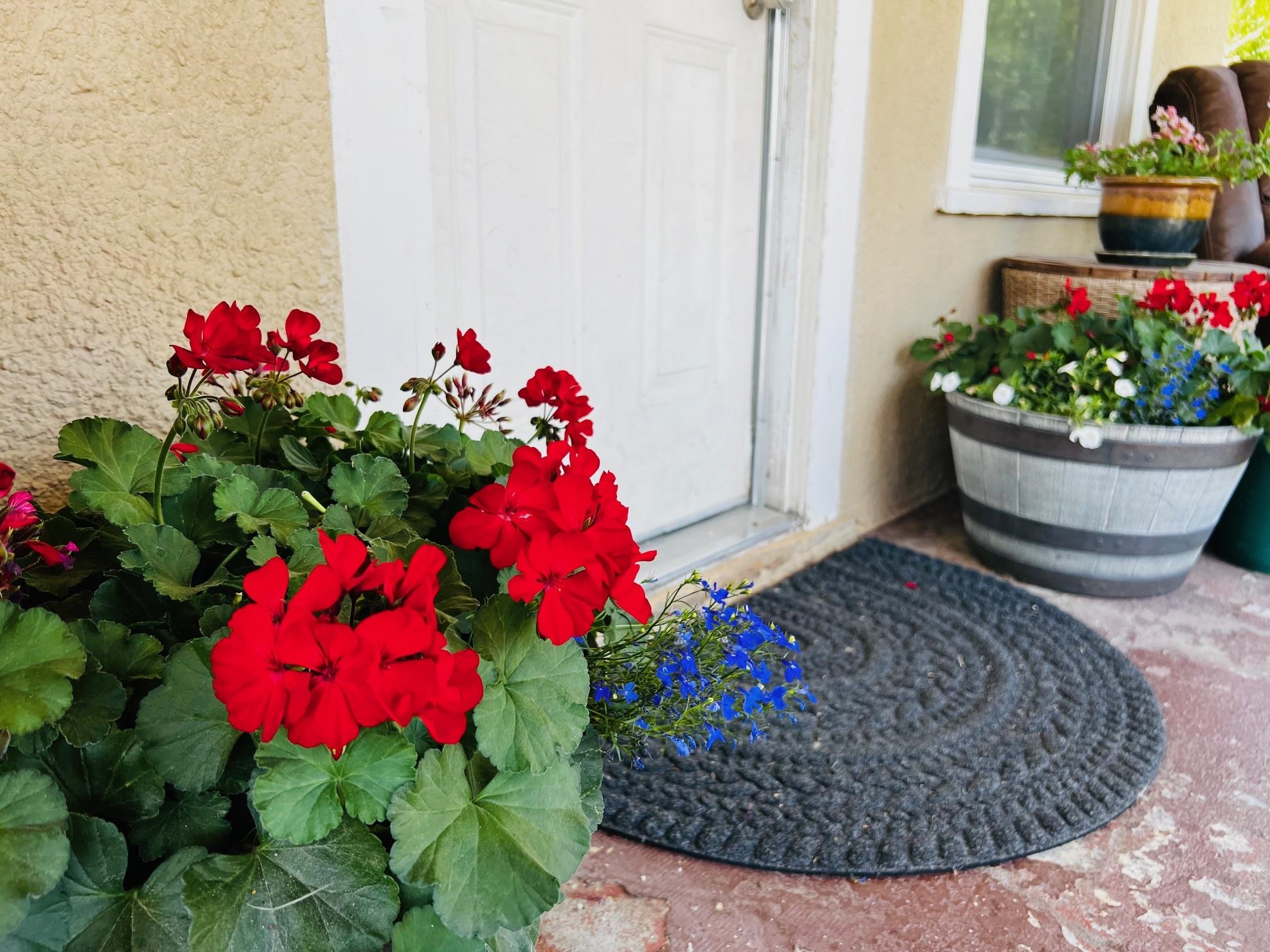 7 East Liberty Street St. John, WA 99171 - Photo 6 of 36