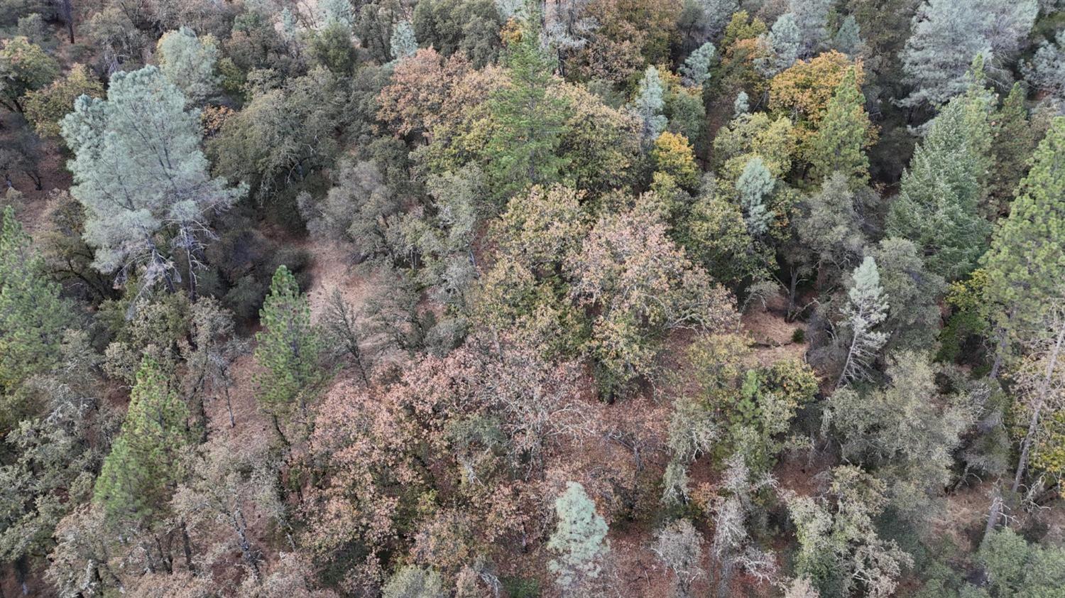 17022 Brewer Road Grass Valley, CA 95949 - Photo 6 of 9