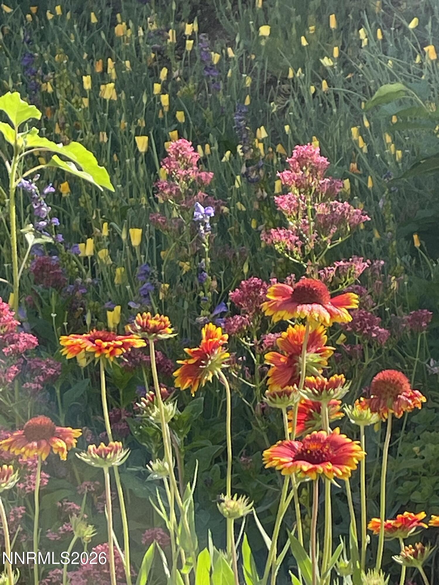 8560 Sirius Court Reno, NV 89506 - Photo 36 of 42 IMG_9873