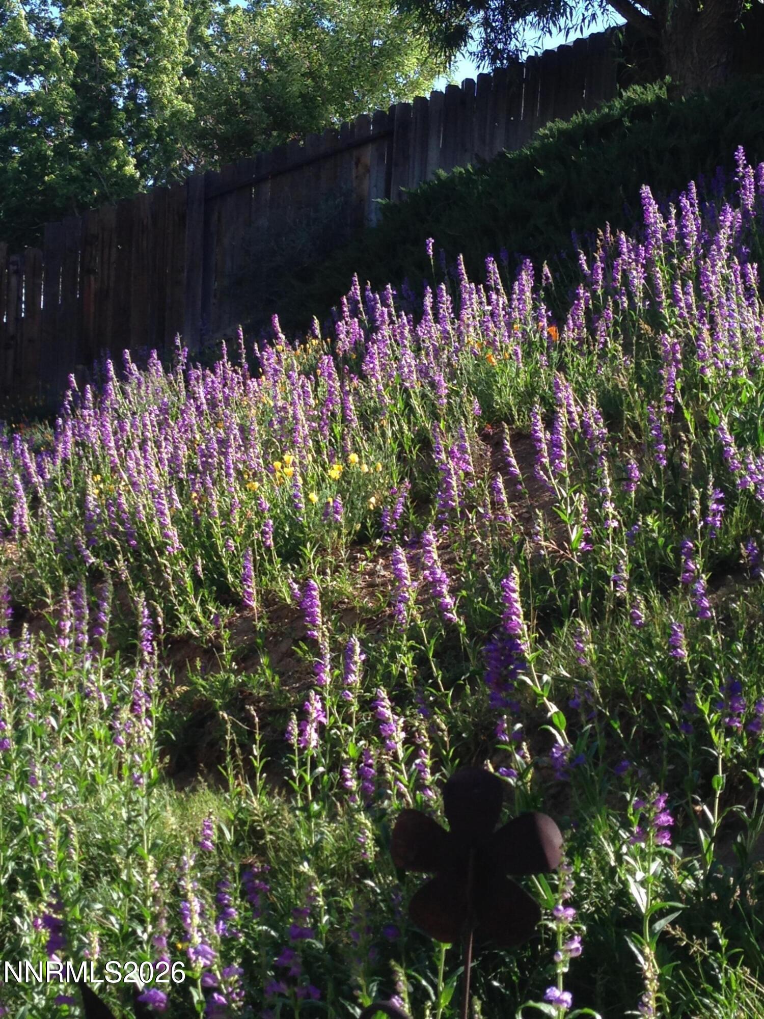 8560 Sirius Court Reno, NV 89506 - Photo 39 of 42 IMG_5202