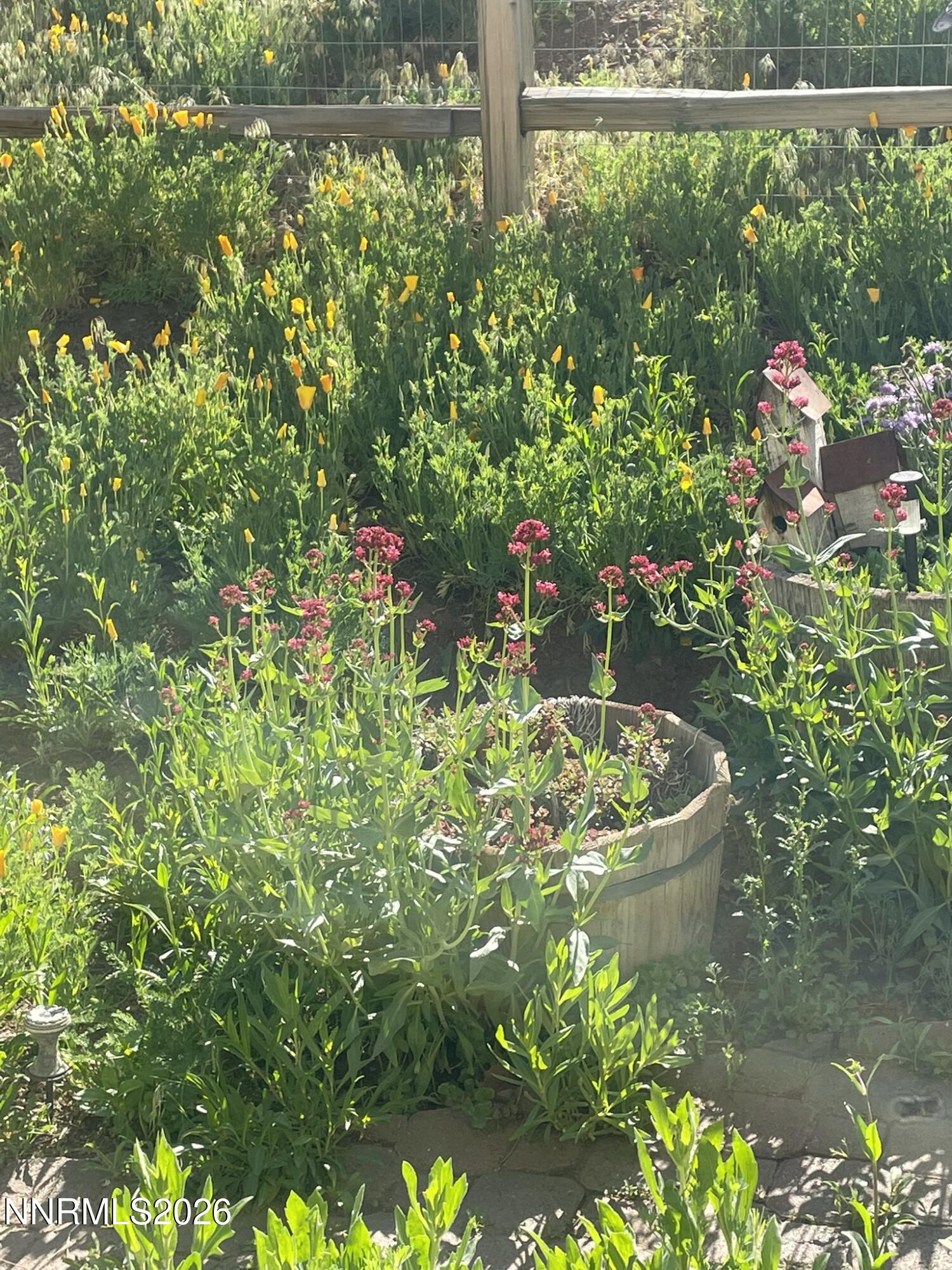 8560 Sirius Court Reno, NV 89506 - Photo 40 of 42 IMG_5994