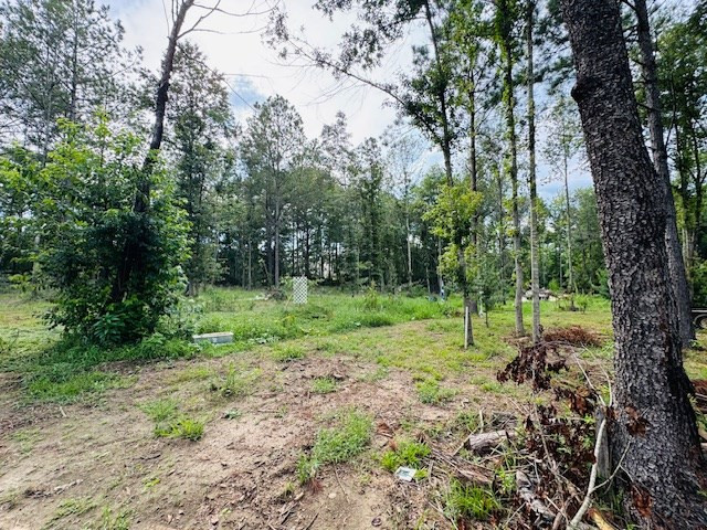 Tbd Garner Road Jayess, MS 39641 - Photo 8 of 25 Photo 8