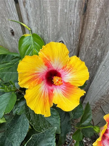 a view of swimming pool