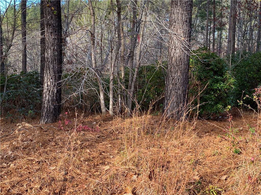 632 Top Ridge Drive Sunset, SC 29685 - Photo 6 of 20 More Mountain Laurel