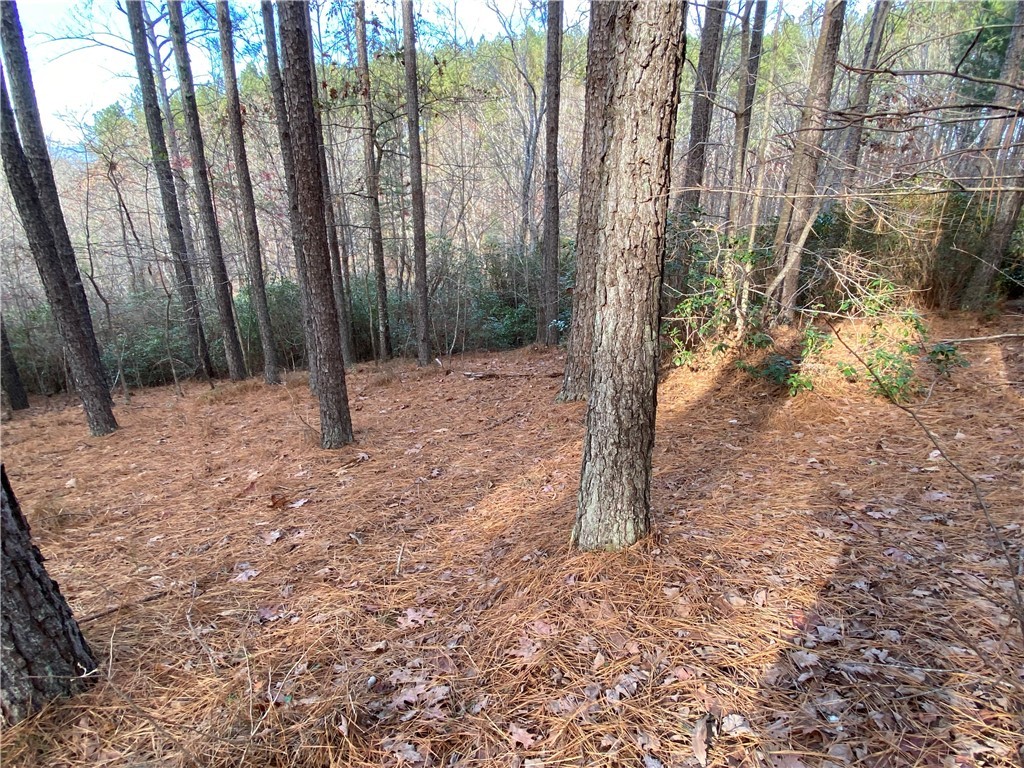 632 Top Ridge Drive Sunset, SC 29685 - Photo 7 of 20