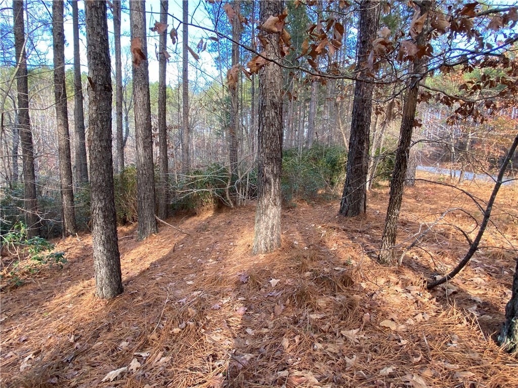 632 Top Ridge Drive Sunset, SC 29685 - Photo 8 of 20